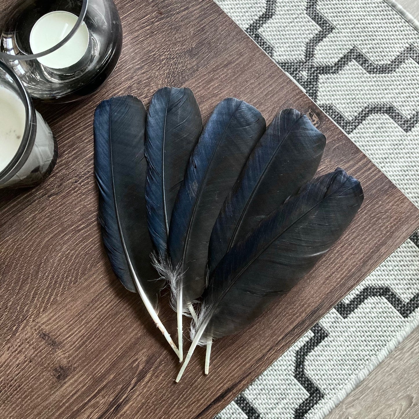 Black Crow Feathers (Large)