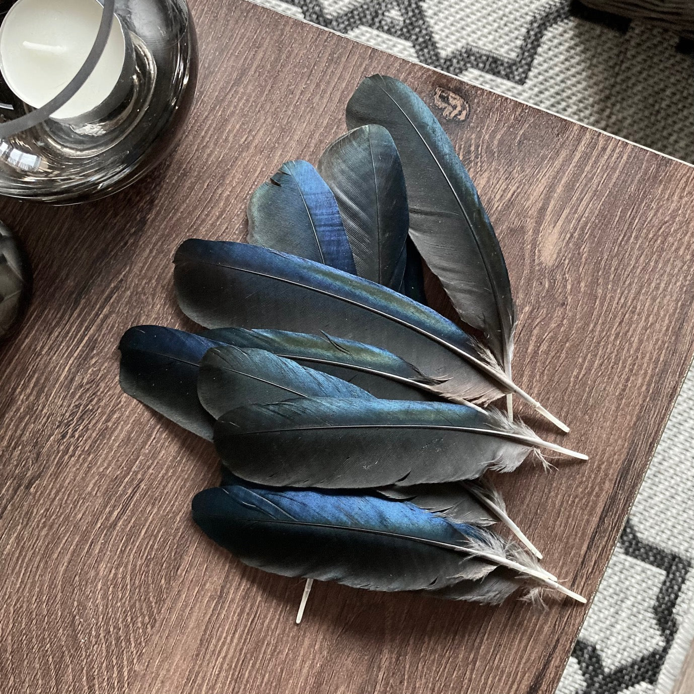 Medium Blue Magpie Feathers