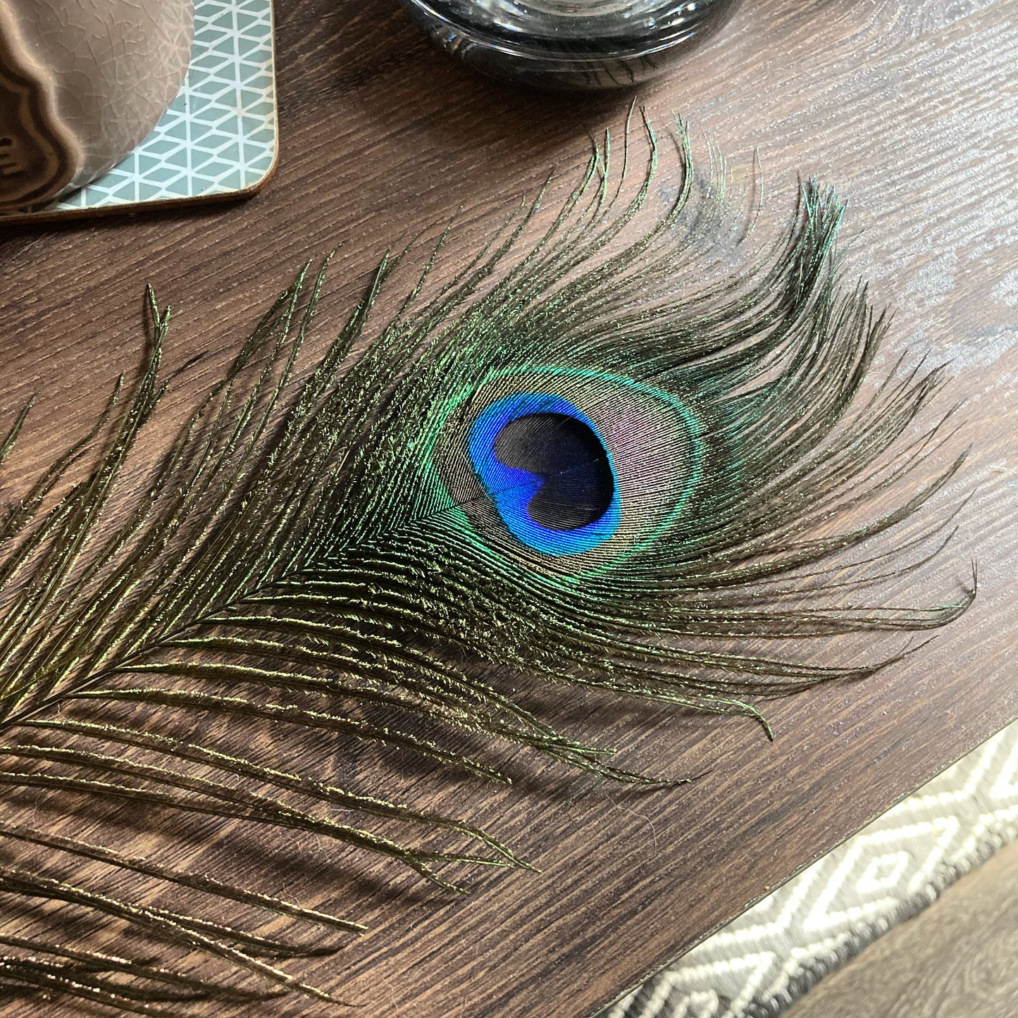 Natural Peacock Feathers