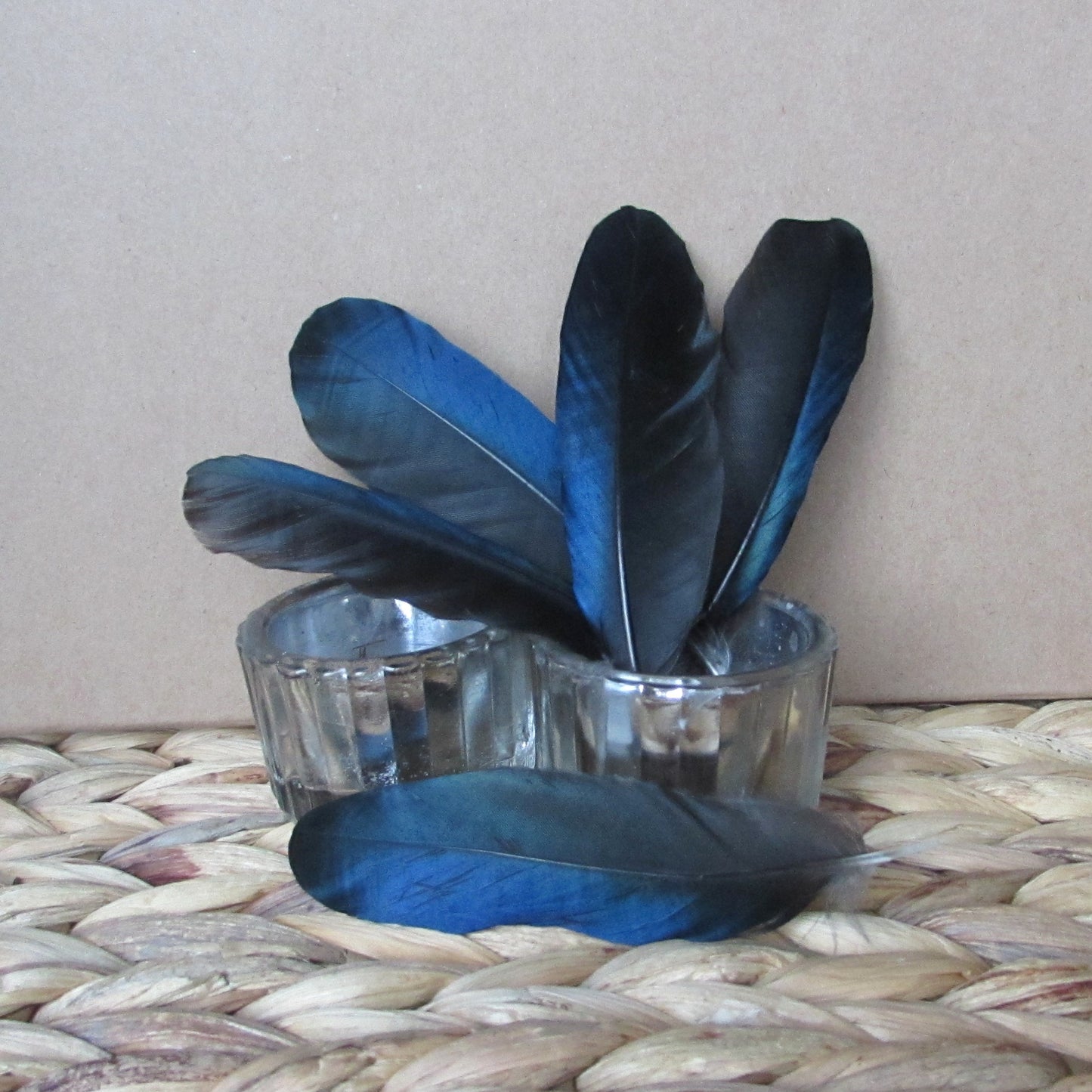 Magpie Feathers - Mixed Pack of 30