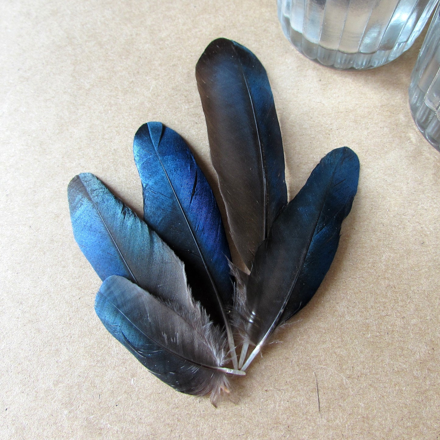 Magpie Feathers - Mixed Pack of 30