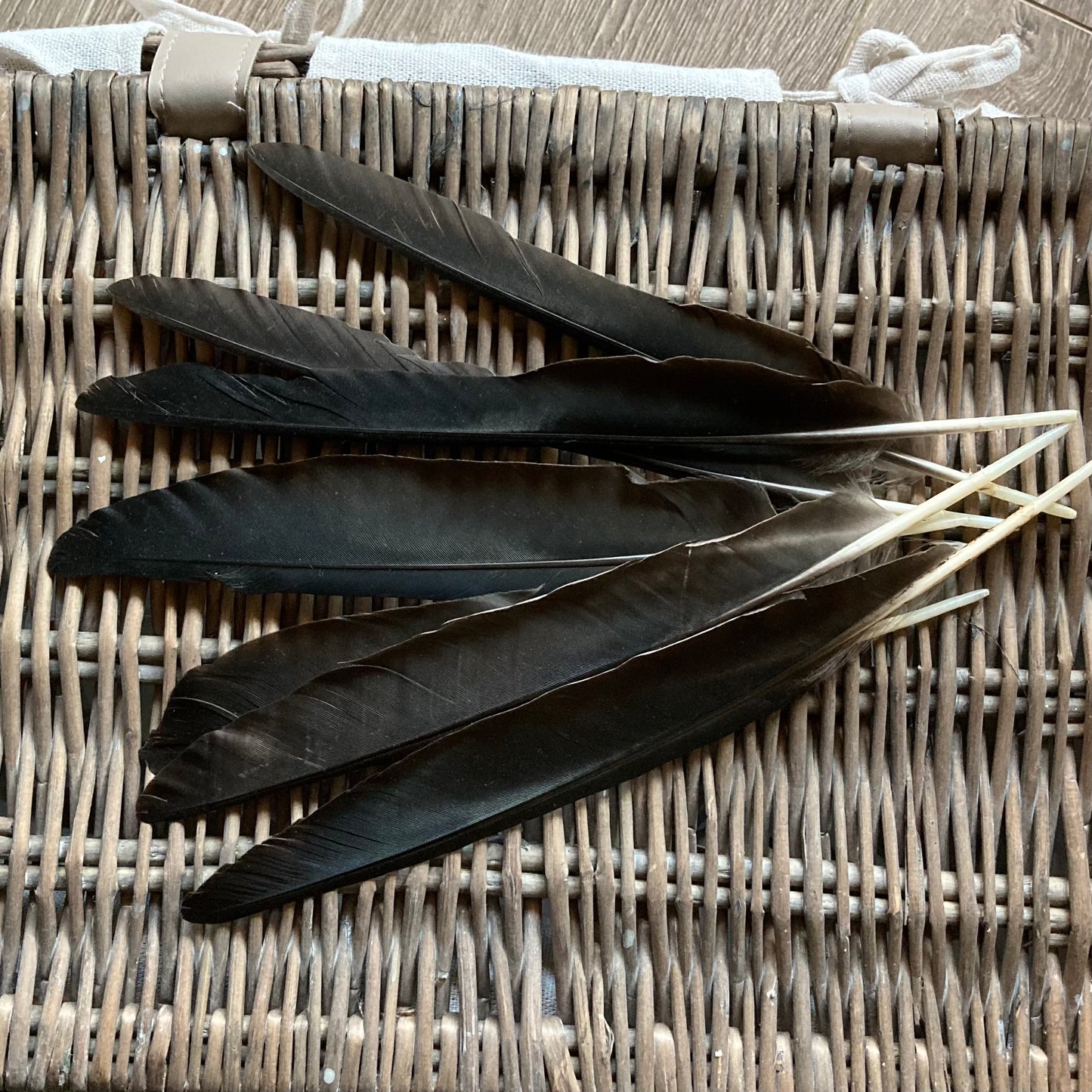 Black Crow Feathers (Large Points)