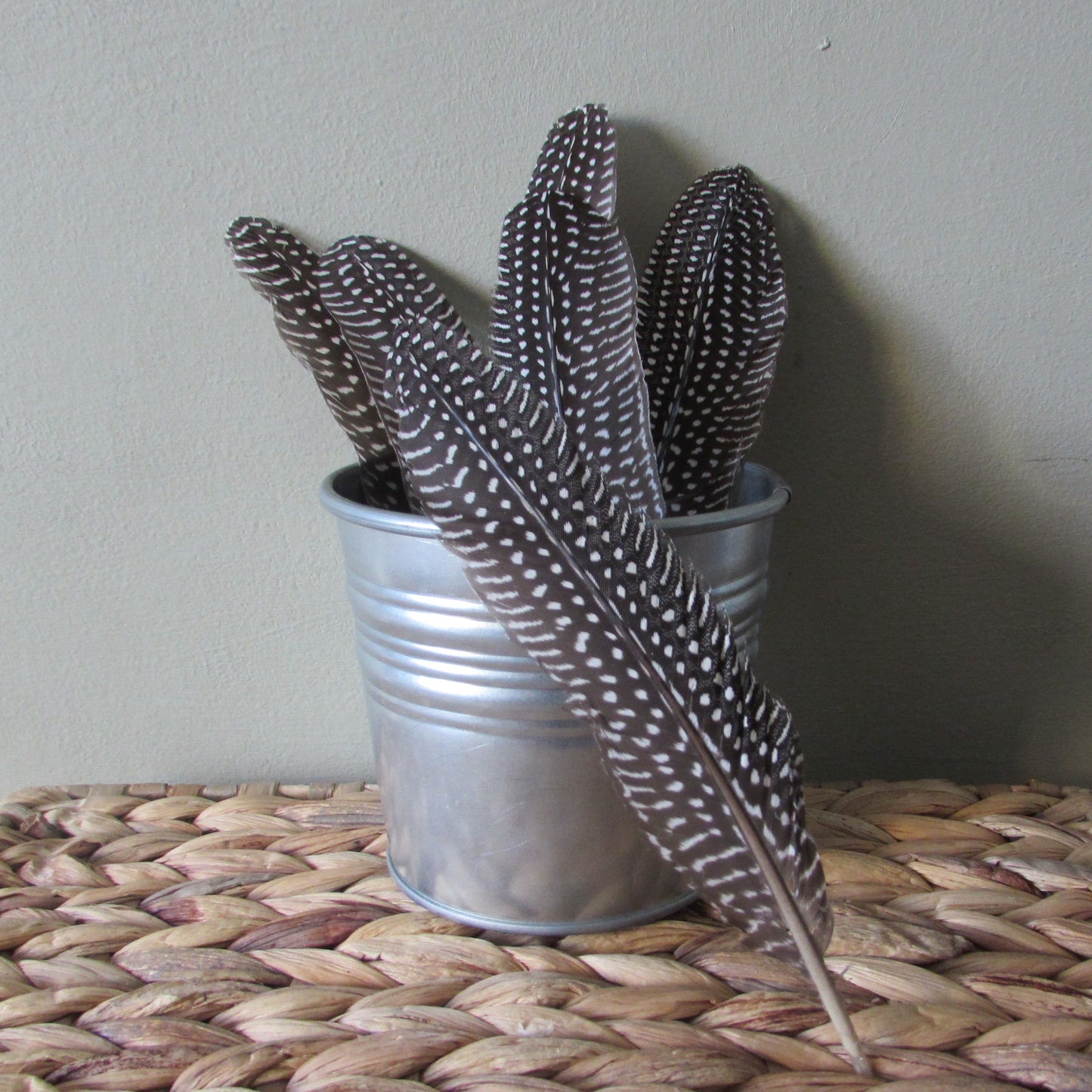 Guinea Fowl Feathers