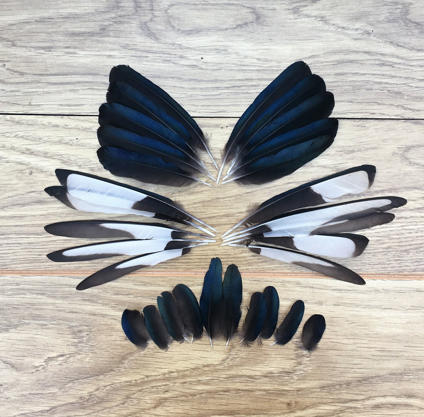 Magpie Feathers - Mixed Pack of 30