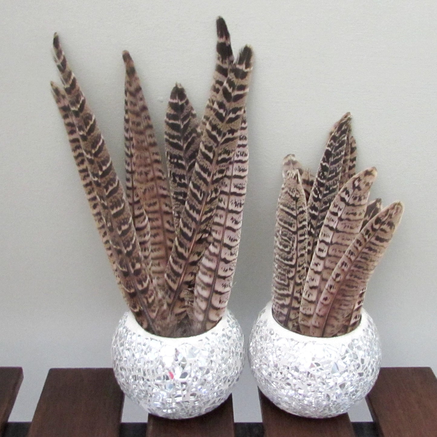Pheasant Hen Tail Feathers