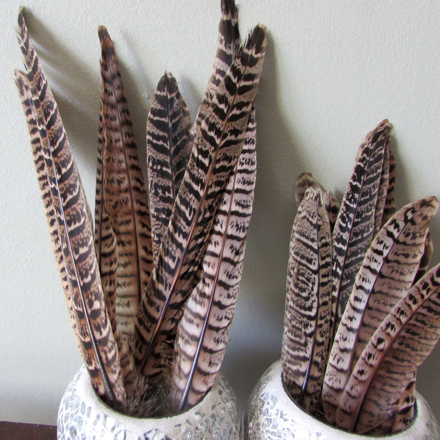 Pheasant Hen Tail Feathers